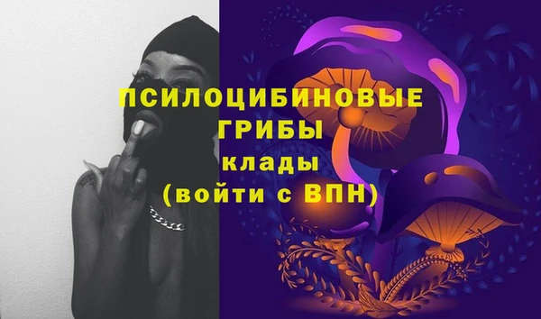spice Покров