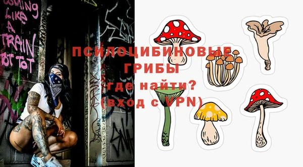 ГАЛЛЮЦИНОГЕННЫЕ ГРИБЫ Покровск