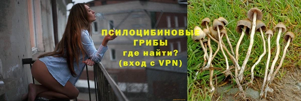 бошки Алексеевка