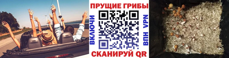 Псилоцибиновые грибы GOLDEN TEACHER Октябрьский