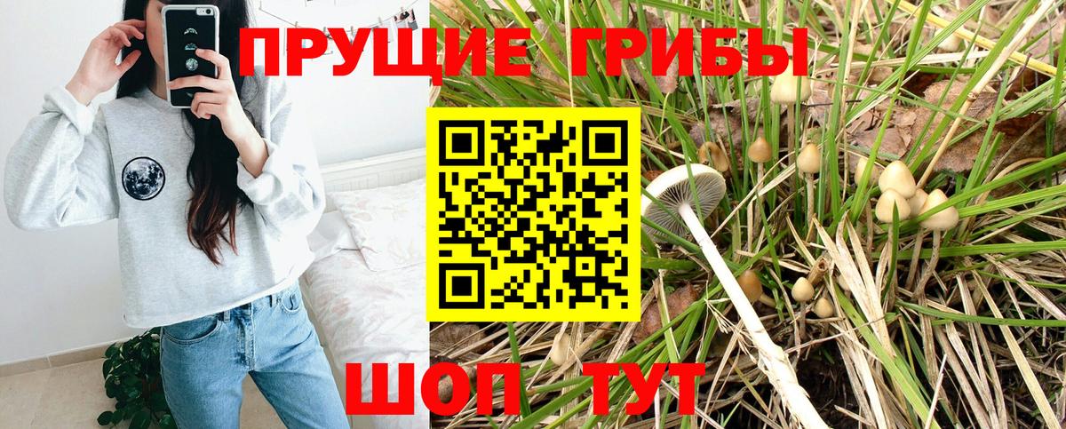 Псилоцибиновые грибы мицелий Октябрьский
