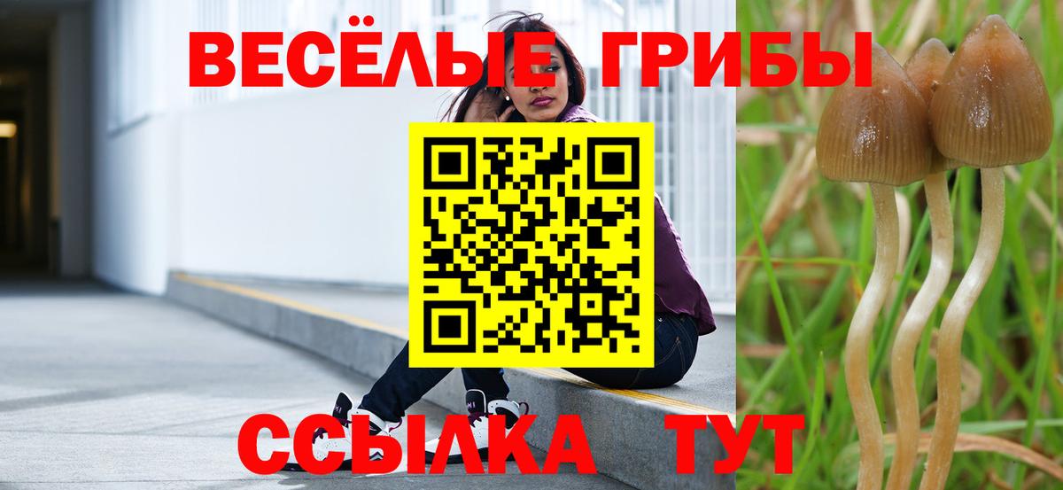 Псилоцибиновые грибы Psilocybine cubensis  Галлюциногенные грибы мухоморы  Октябрьский  Вход с VPN 